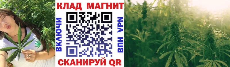 Каннабис Мытищи