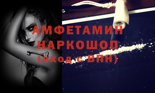 амф Алексин