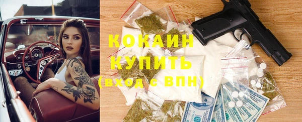 амф Алексин