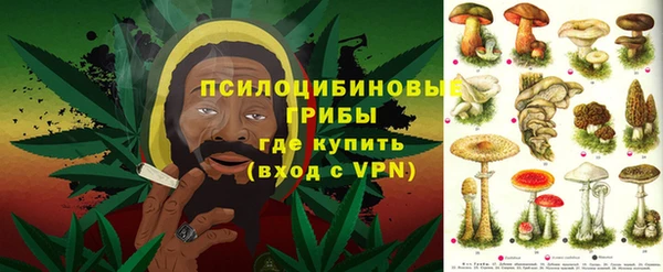 амф Алексин