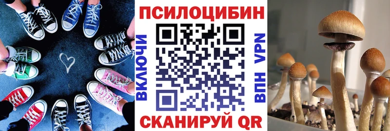 Галлюциногенные грибы MAGIC MUSHROOMS  кракен как зайти  Мытищи  как найти закладки 